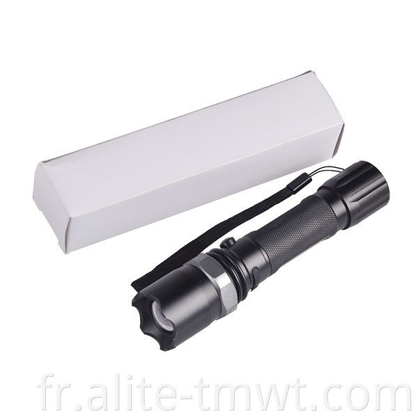 White UV 395NM 2 en 1 Dual LED Light 18650 ou AAA Battery UV Zoomable Lampe de poche